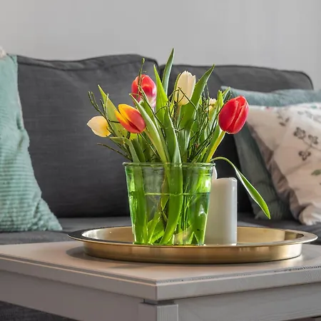 Garden Comfort In Rieder, Harz, Cleaning Included * Rieder